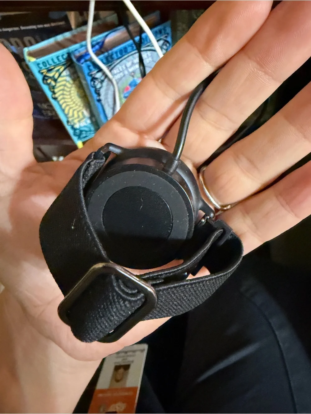 garmin Black VivoActive 5 with Black Nylon Band